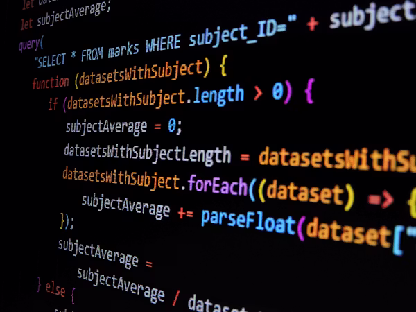 Web Development